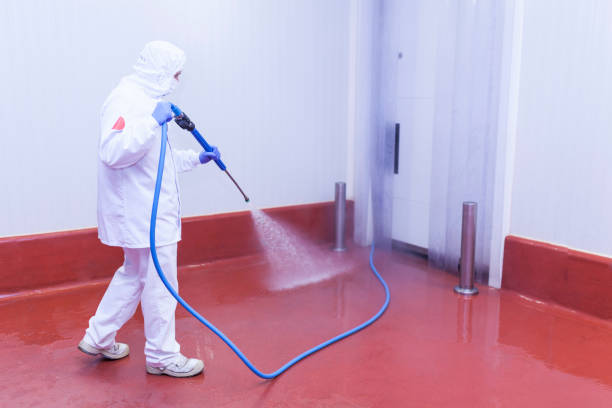 Spring Cleaning in Thorofare, NJ